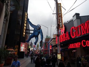 DSC07444_R