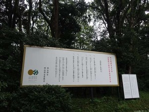 DSC02467_R