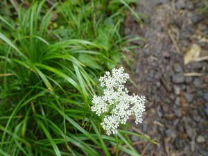 DSC06434_R