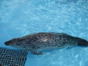 DSC05644_R