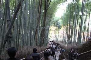IMG_9026