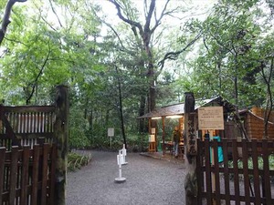 DSC02423_R