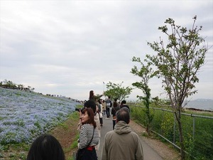 DSC00131_R