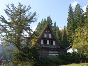 DSC01269_R