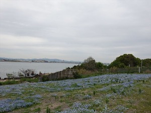 DSC00122_R