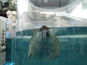 DSC08055_R