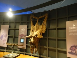 DSC04979_R