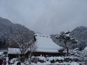 DSC03183_R