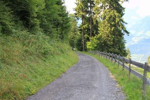 IMG_5579