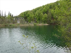 DSC00773_R