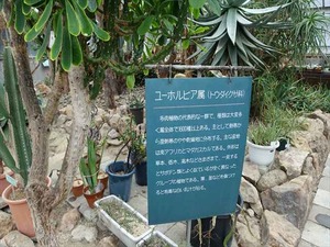 DSC09443_R