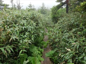 DSC06447_R