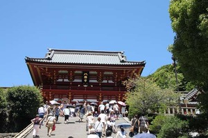 IMG_6500