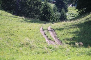 IMG_5578