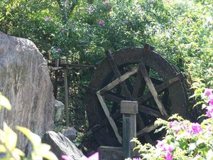 DSC04902_R