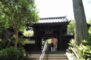 IMG_6405