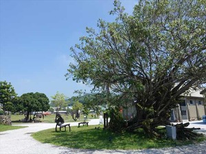 DSC01039_R
