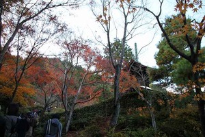IMG_8984