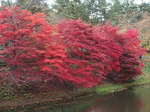 DSC04497_R