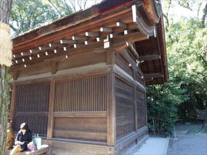 DSC02146_R