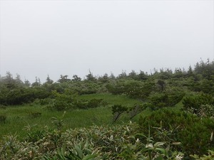 DSC06427_R