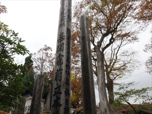 DSC01016_R
