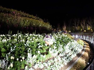 DSC02615_R
