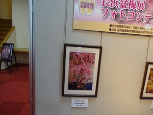 DSC05272_R