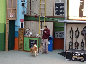 DSC07370_R