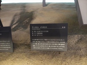 DSC05093_R