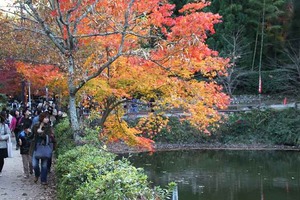 IMG_9020