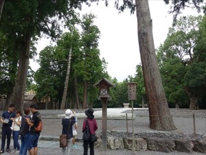 DSC07323_R