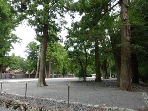 DSC07321_R