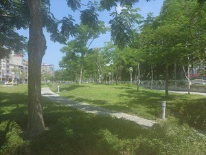 DSC00988_R