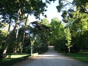DSC04377_R