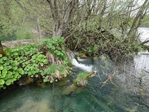 DSC00743_R