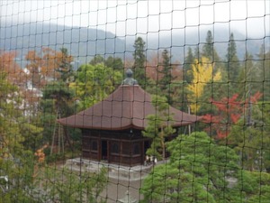 DSC01009_R