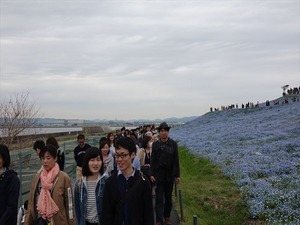 DSC00156_R