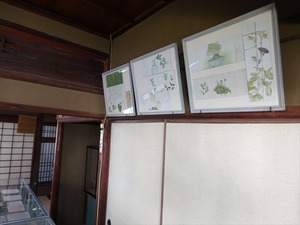 DSC01326_R