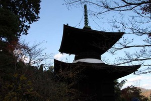 IMG_8986