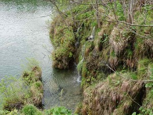 DSC00732_R
