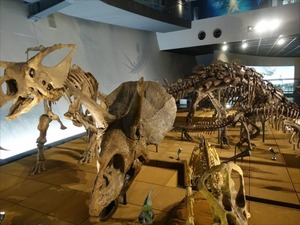 DSC05034_R
