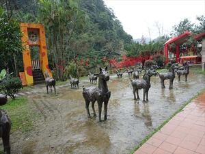 DSC06617_R