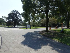 DSC04872_R