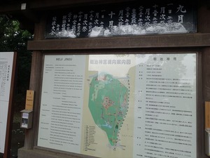 DSC02409_R