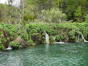 DSC00740_R