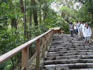DSC07352_R