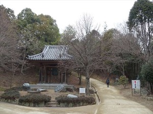 DSC08779_R