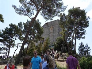 DSC02155_R