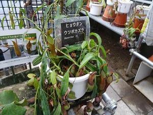 DSC09428_R